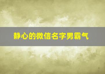 静心的微信名字男霸气