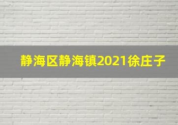 静海区静海镇2021徐庄子