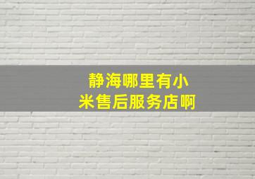 静海哪里有小米售后服务店啊