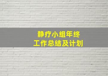 静疗小组年终工作总结及计划