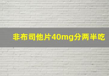 非布司他片40mg分两半吃