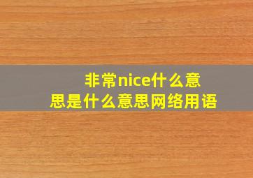 非常nice什么意思是什么意思网络用语