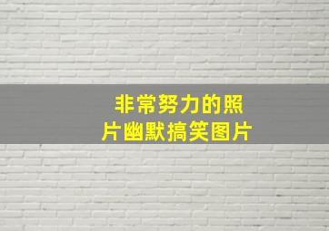 非常努力的照片幽默搞笑图片