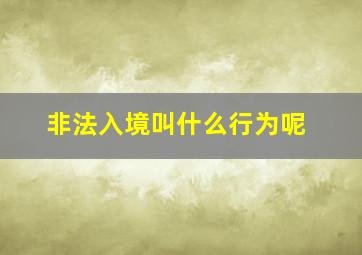 非法入境叫什么行为呢