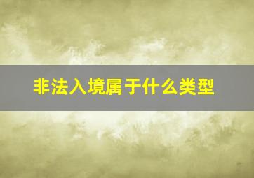 非法入境属于什么类型