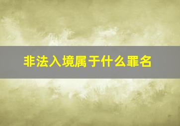 非法入境属于什么罪名