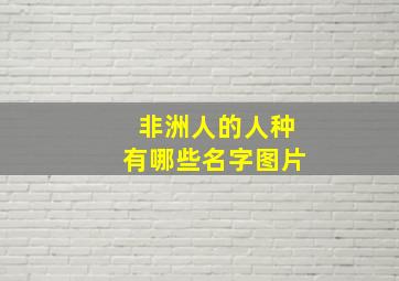 非洲人的人种有哪些名字图片