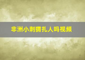 非洲小刺猬扎人吗视频