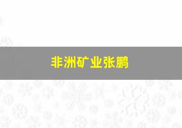 非洲矿业张鹏