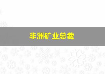 非洲矿业总裁