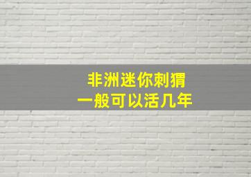 非洲迷你刺猬一般可以活几年