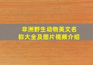 非洲野生动物英文名称大全及图片视频介绍