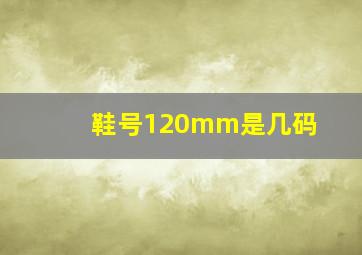 鞋号120mm是几码