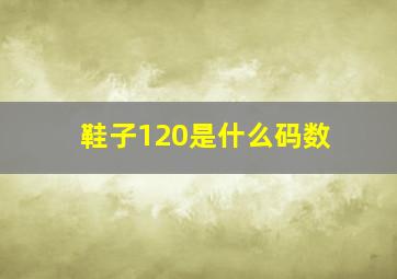 鞋子120是什么码数