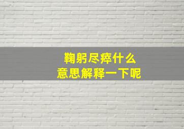 鞠躬尽瘁什么意思解释一下呢