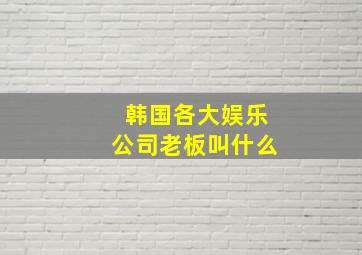 韩国各大娱乐公司老板叫什么