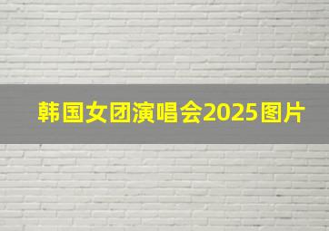 韩国女团演唱会2025图片