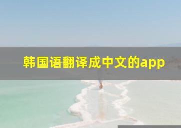 韩国语翻译成中文的app