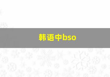 韩语中bso