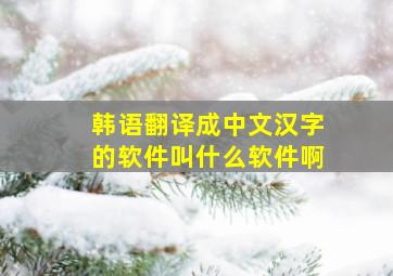 韩语翻译成中文汉字的软件叫什么软件啊