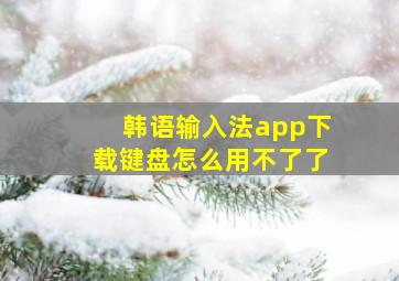 韩语输入法app下载键盘怎么用不了了