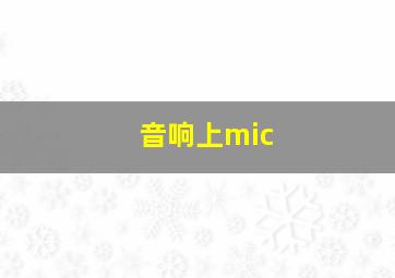 音响上mic