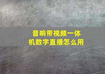 音响带视频一体机数字直播怎么用