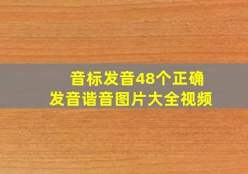 音标发音48个正确发音谐音图片大全视频