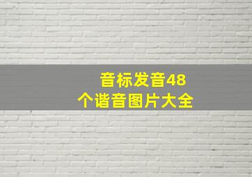 音标发音48个谐音图片大全