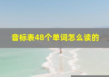 音标表48个单词怎么读的