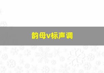 韵母v标声调