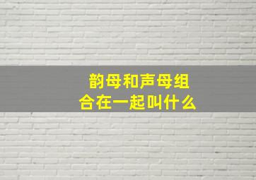 韵母和声母组合在一起叫什么