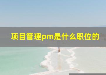 项目管理pm是什么职位的