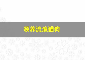 领养流浪猫狗