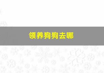 领养狗狗去哪