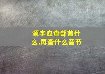 领字应查部首什么,再查什么音节