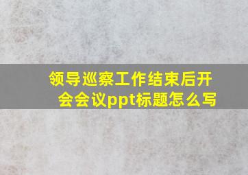 领导巡察工作结束后开会会议ppt标题怎么写