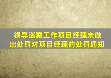 领导巡察工作项目经理未做出处罚对项目经理的处罚通知