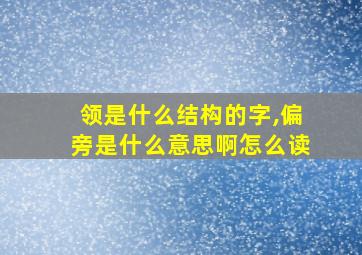 领是什么结构的字,偏旁是什么意思啊怎么读