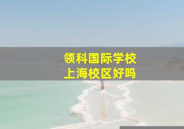 领科国际学校上海校区好吗