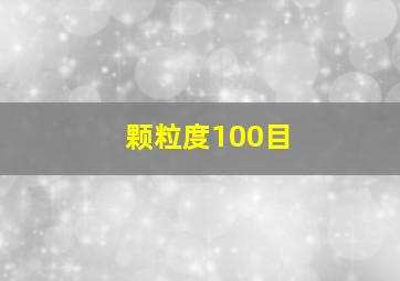 颗粒度100目