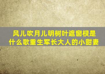 风儿吹月儿明树叶遮窗棂是什么歌重生军长大人的小甜妻