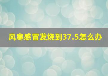 风寒感冒发烧到37.5怎么办