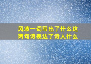 风波一词写出了什么这两句诗表达了诗人什么