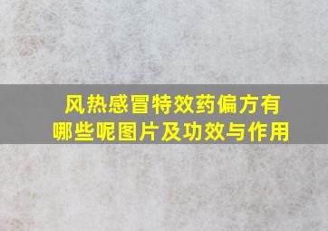 风热感冒特效药偏方有哪些呢图片及功效与作用