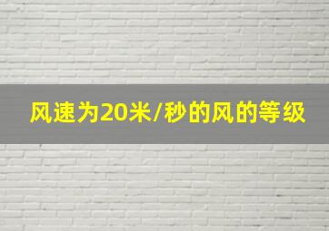 风速为20米/秒的风的等级