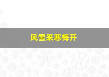 风雪来寒梅开