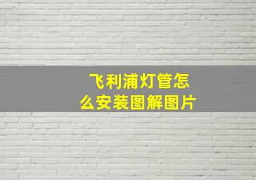 飞利浦灯管怎么安装图解图片