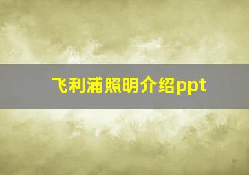 飞利浦照明介绍ppt