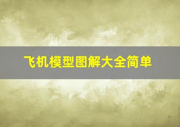 飞机模型图解大全简单